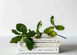 mejores libros de marketing digital