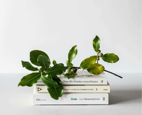 mejores libros de marketing digital